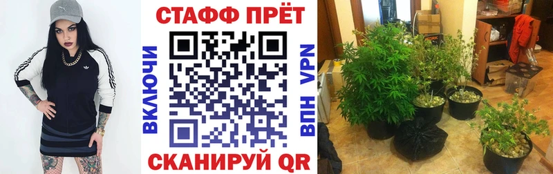 Сколько стоит Углегорск Каннабис ГАШ