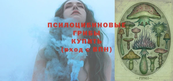 МДПВ Абаза