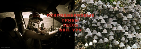гидра Нефтекумск