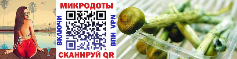 kraken   Углегорск  Псилоцибиновые грибы GOLDEN TEACHER 