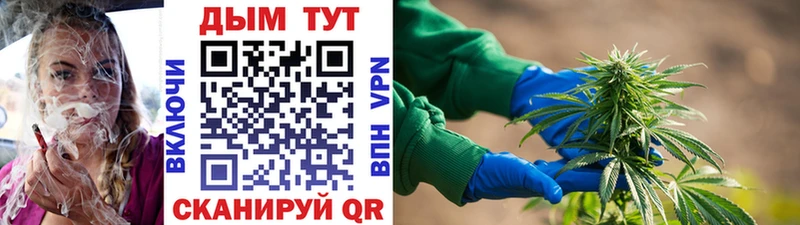 что такое   Углегорск  Бошки марихуана ГИДРОПОН 